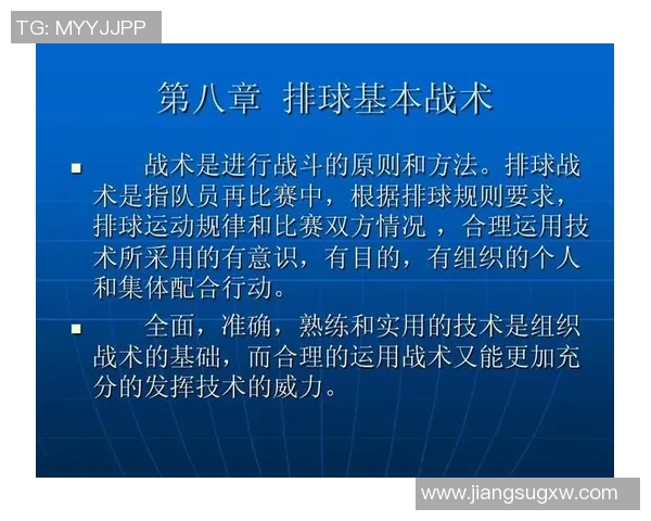 武汉排球队整体压制体系解析与战术创新探讨