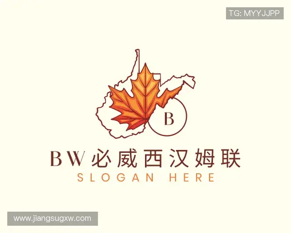 认识bw必威西汉姆联